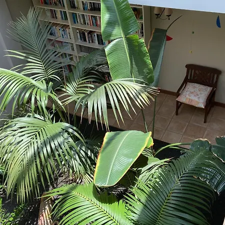 Casa Tegue Villa *