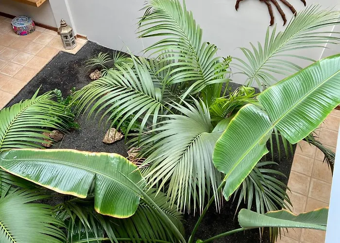 Villa Casa Tegue Nazaret